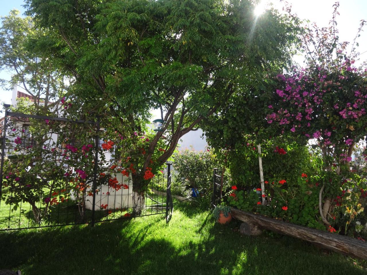 El Jardin De Su Merced B&B Sucre történelmi óvárosa Kültér fotó